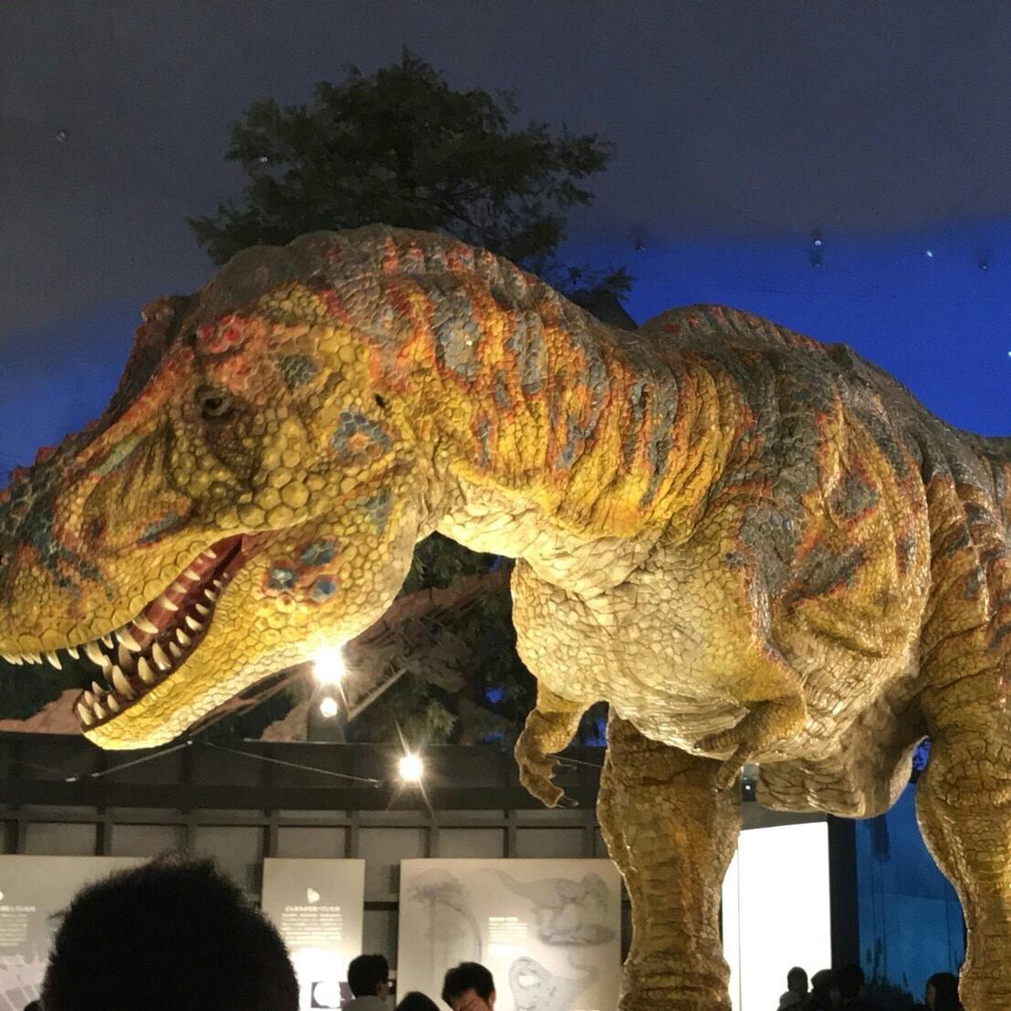 博物館 恐竜 福井 県立