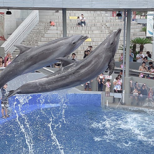大分マリーンパレス水族館「うみたまご」
