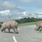 #大分#アフリカンサファリ