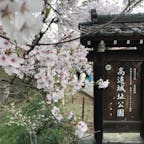 2018年4月
長野県 高遠城公園