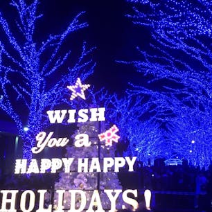 2017年12月 東京都
青の洞窟 イルミネーション