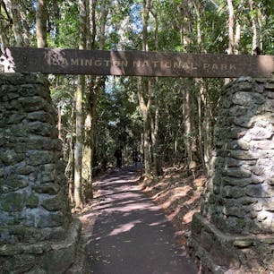 オーストラリア ゴールドコースト
ラミントン国立公園
道は舗装されていて歩きやすかった。
つり橋がクリア出来れば歩く時間は片道15分くらい。
気温は街より少し低め
緑いっぱい、鳥もいっぱい