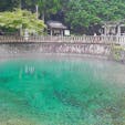 山口県
美祢市
別府弁天池
カルシウム分を含んだ透明度の高い水が湧き出ています。近くに給水所があり、湧水を飲むこともでき、日本名水百選にも選ばれています