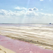 メキシコ🇲🇽ピンクレイク