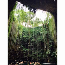 メキシコ🇲🇽セノーテ