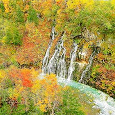 北海道
美瑛
白髭の滝、10月初旬
十勝岳連峰の地下水が溶岩層の割れ目から、白髭のように美瑛川に流れ落ちていきます。落差約30メートル。