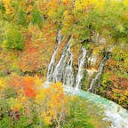 北海道
美瑛
白髭の滝、10月初旬
十勝岳連峰の地下水が溶岩層の割れ目から、白髭のように美瑛川に流れ落ちていきます。落差約30メートル。