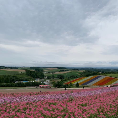 展望花畑 四季彩の丘