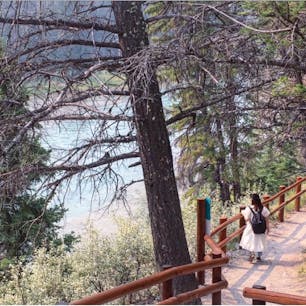 #ボウ川 #バンフ #カナダ
2018年8月

ボウ滝、ボウ川、ボウ湖と続く🚣‍♂️🚣‍♀️