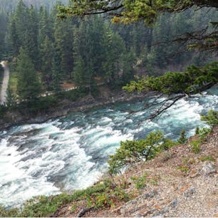 #ボウ川 #バンフ #カナダ
2018年8月

#ボウ滝 周辺は流れが速くて音も爆音😳😳