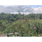 タンパクシリン ライステラス