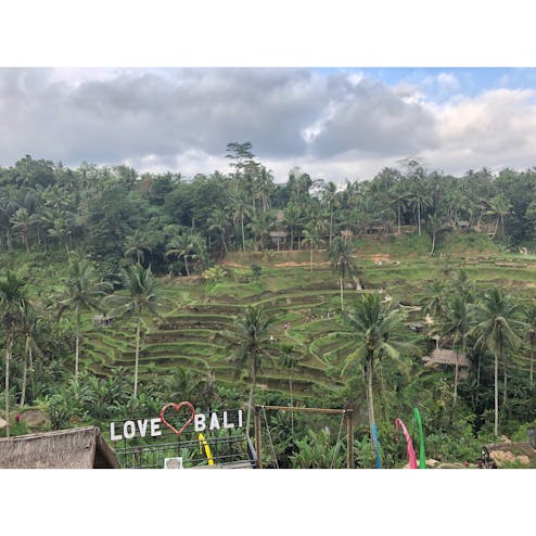 タンパクシリンのライステラス