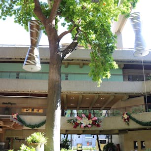 ロイヤル・ハワイアン・センター