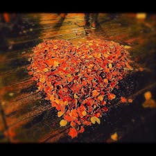 北海道
富良野
新富良野プリンスホテル隣接
ニングルテラス 10月
落ち葉が❤️になってました☺️
こちらに宿泊した時は、ニングルテラスの先にある喫茶店「森の時計」で珈琲をいただいたり、夜には、さらにその先林道を抜けたあたりにあるSoh's BARでカクテルを楽しんだりして、ゆったりと優しい時間を過ごします。