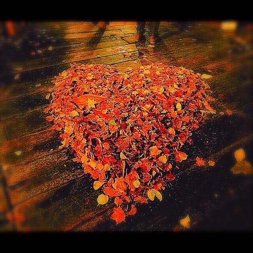 ニングルテラス