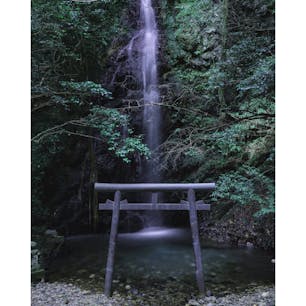 岐阜 岩門の滝