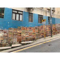 2019年9月5日 #香港
撮影スポット！
歩いてるだけでワクワク ☺︎