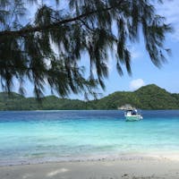 パラオ🇵🇼
向かいの島は『イノキアイランド』
海中は魚群が発生してました🐠