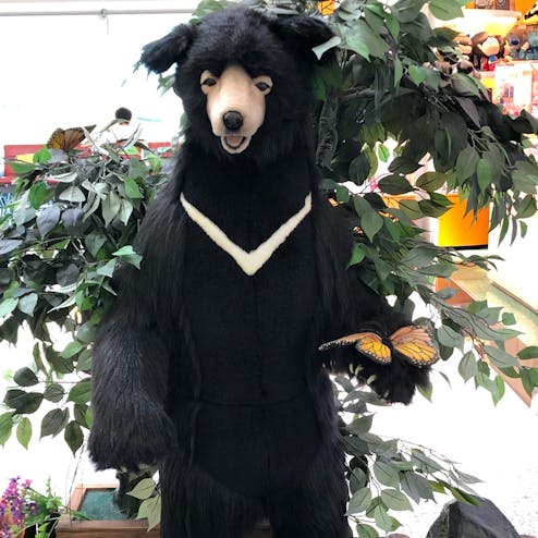 台湾桃園国際空港