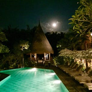 バリ島/ウブド🇮🇩The ALENA