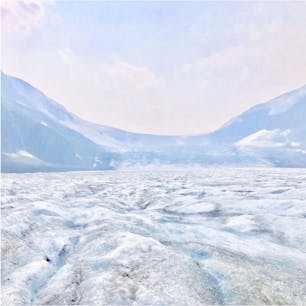 #アタバスカ氷河 #コロンビア大氷原 #バンフ国立公園
#ジャスパー国立公園 #カナディアンロッキー #カナダ
2018年8月

本当に忘れられないこの感動.......