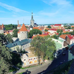 とんがり屋根のたけのこの里を上からパチリ