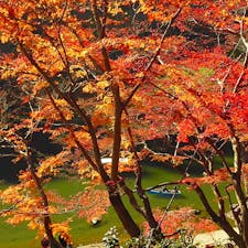 京都
嵐山