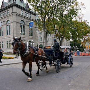カナダ
ケベック
フランス語圏の街
落ち着きある素敵な街でした