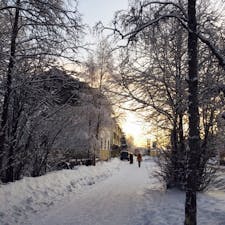 フィンランド、ロヴァニエミの街路