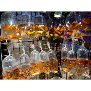 2019年9月5日 #香港
ほんとにあった！笑 ☻