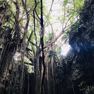 2018.08.10
ガンガラーの谷 @沖縄