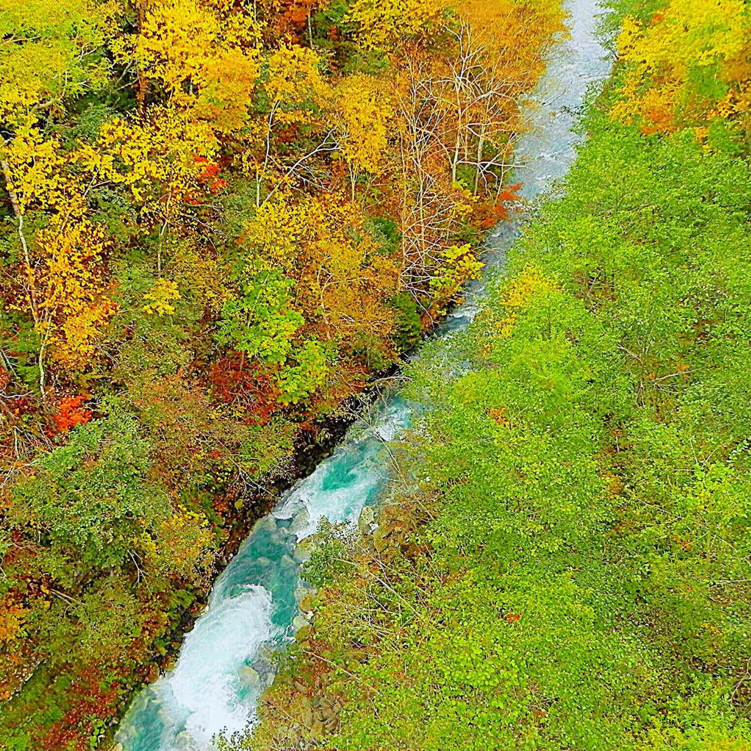 青い川 ブルーリバー の投稿写真 感想 みどころ 北海道美瑛白金温泉青い川 美瑛川 10月初旬 中旬 トリップノート