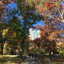 Central Park @ New York