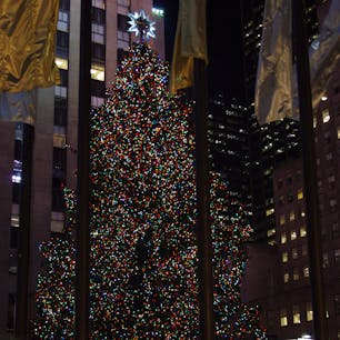 Rockefeller Centerロックフェラーセンター クリスマスツリー