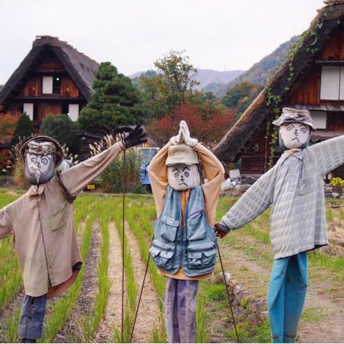 白川郷合掌造り集落