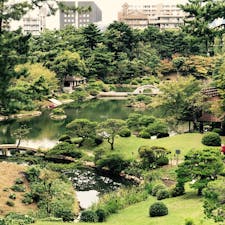 広島の縮景園きました〜！
緑が綺麗✨