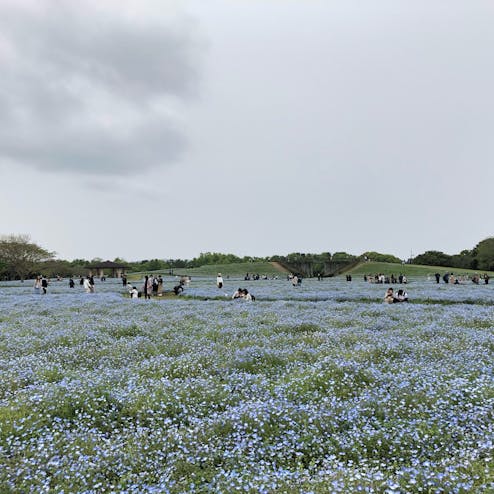 海の中道海浜公園