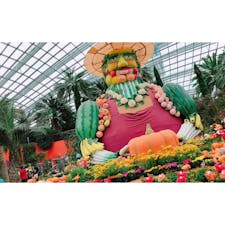 シンガポール ガーデンバイザベイ フラワードーム