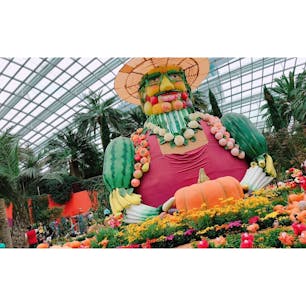 シンガポール ガーデンバイザベイ フラワードーム