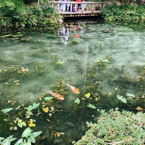 モネの池・根道神社
