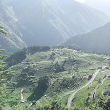 岐阜のマチュピチュ
#岐阜県 #マチュピチュ #茶畑
#岐阜県揖斐郡揖斐川町春日六合