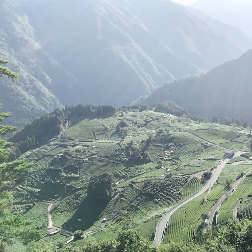 岐阜のマチュピチュ