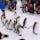 北海道
旭山動物園
ペンギンパレード
積雪時期に実施
可愛い❤️