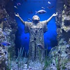 マルタ共和国：マルタ国立水族館🇲🇹魚の展示方法が面白い！