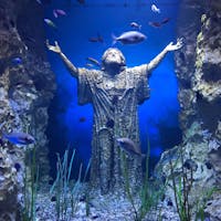 マルタ共和国:マルタ国立水族館🇲🇹魚の展示方法が面白い!
