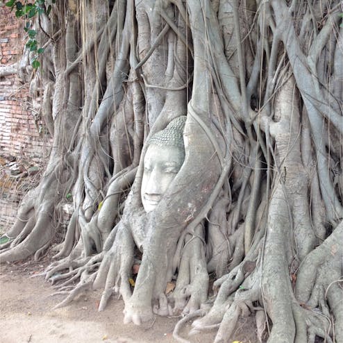 ワット・プラ・マハタート