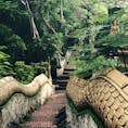 ラオス🇱🇦：ルアンパバーン。日本では狛犬が両側にいるのに、ラオスではどこでも龍が両側に🐉！お寺の中へ続く道も、ドラゴンボールのあの閻魔大王のところへ続く蛇の道みたいでした^ - ^