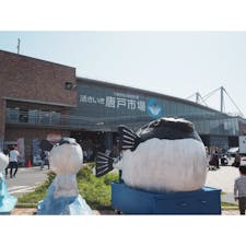 #山口 #唐戸市場 #ふぐ #201905