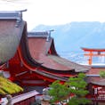広島 宮島 厳島神社
ぜひ一泊して、美味しいもの沢山食べて、翌朝は弥山に登って欲しい！