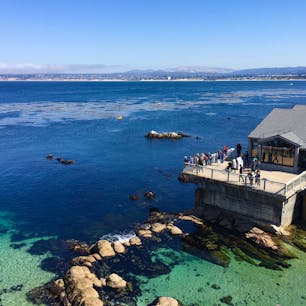 モントレーベイ水族館 @Monterey, CA